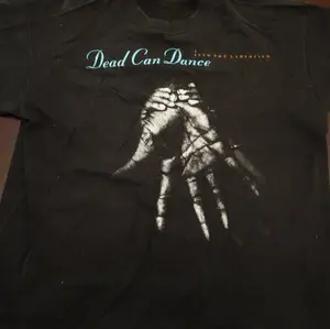 Vintage Dead Can Dance Into The Labyrinth 1993 T-Shirt US Size: S-6XL, All Colors, Gift for Women Men, Made In USA, 100% cotton, Classic Fit, Unisex T-Shirt