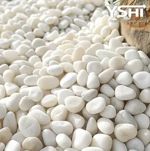 Grade A White Polished River Pebbles 0.40 cu. ft. 3 in. to 5 in. 30 lbs