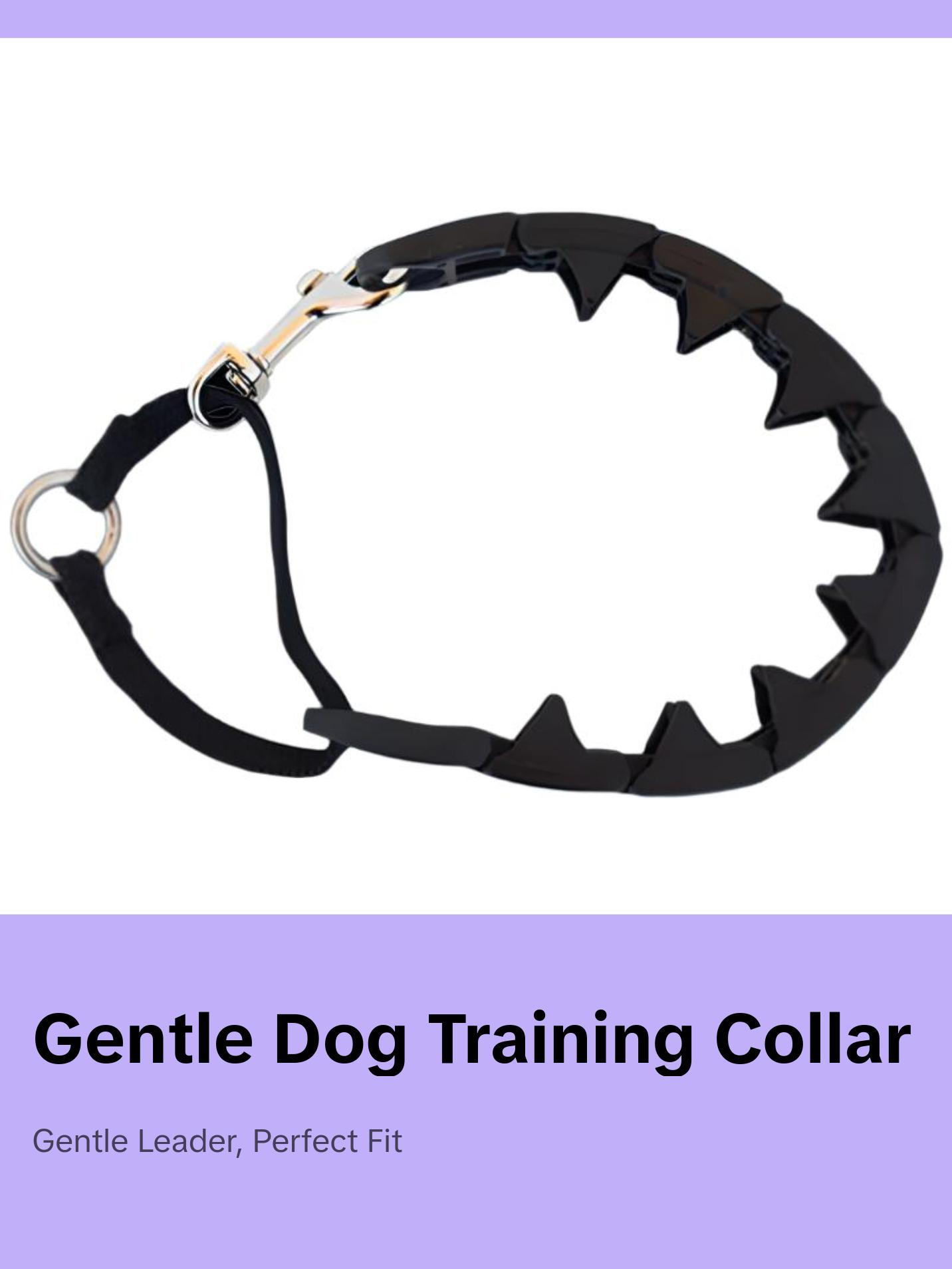 Pro-Training COLLAR® – Gentle & Effective Dog Training Tool