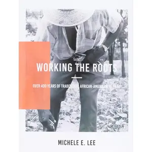Working The Roots: Over 400 Years of Traditional African American Healing -- Paperback