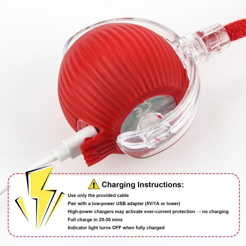 Cat & Dog Interactive USB Rechargeable Ball Toy on Rug, Bird Chirping Sound, Anti-Depression Fun Gift for Pets-USB Rechargeable Interactive Ball Toy for Cats & Dogs on Rug, Bird Chirping Sound, Anti-Depression Fun Pet Gift