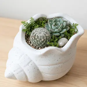 Seashell Shape Home Decor, Ocean Theme Gift for Gardening Lovers, Modern Aesthetic Office Decoration, Succulent Planter, Stress Relief Setup