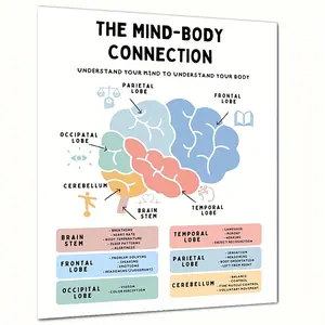 Office Wall Decor, Mind Body Connection Poster, Brain Anatomy Print, Therapy  Brain Parts, Human Brain, Stress Management, Emdr, Cbt, Fight Flight Classroom School Decor 8"X 10" Eid Al-Adha Mubarak
