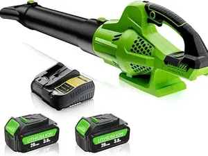 Cordless Leaf Blower with 20V Batteries & Charger, 500CFM, 6 Speed Modes, Electric Blower for Lawn Care, Blowing Leaves, Snow, Compatible with DEWALT 20V Tools