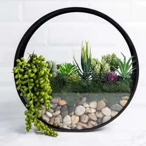 Wall Terrarium Kit