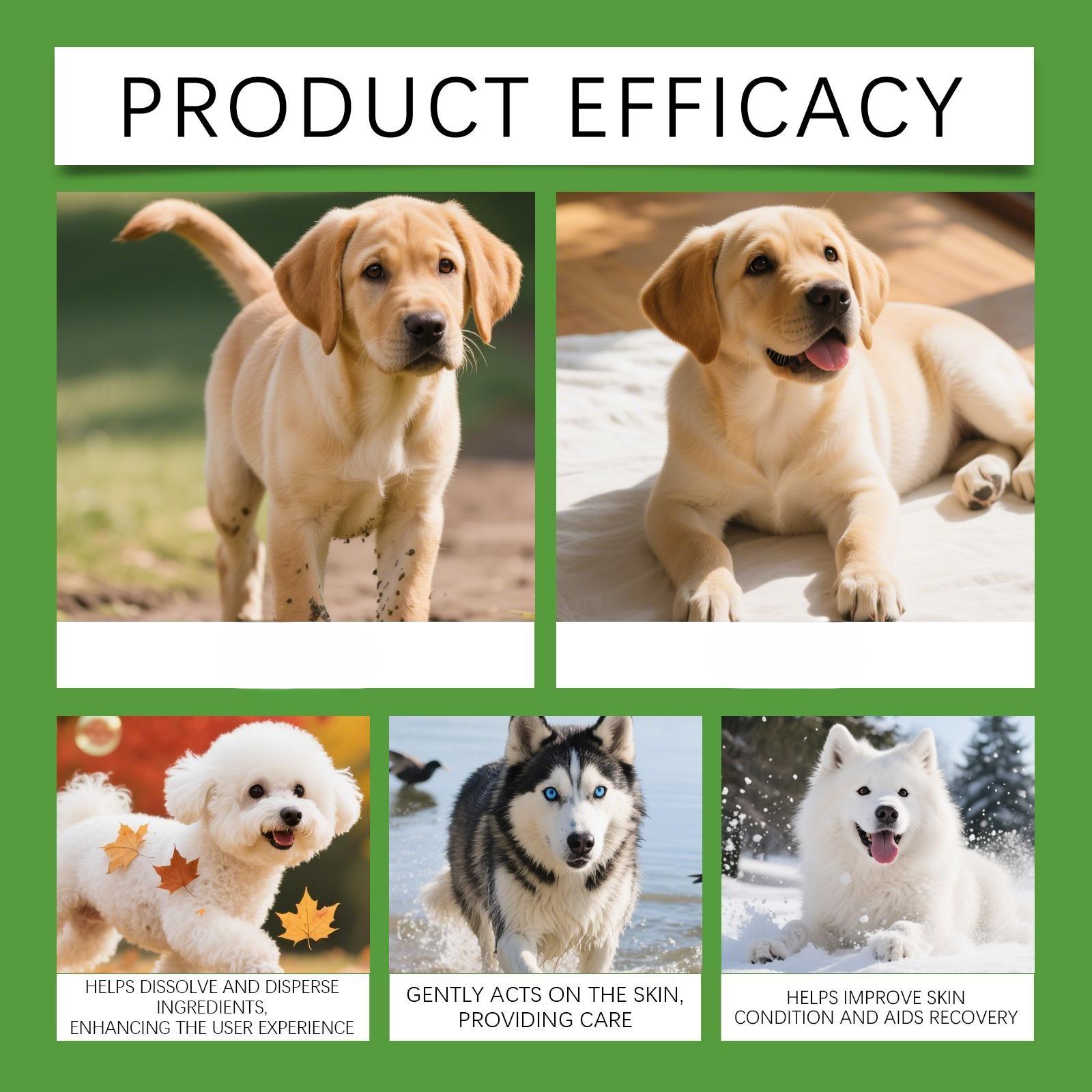 Yegbong Pet Skin Spray with Colloidal Silver & Centella Asiatica for Itchy Skin Relief and Wound Care 100ml