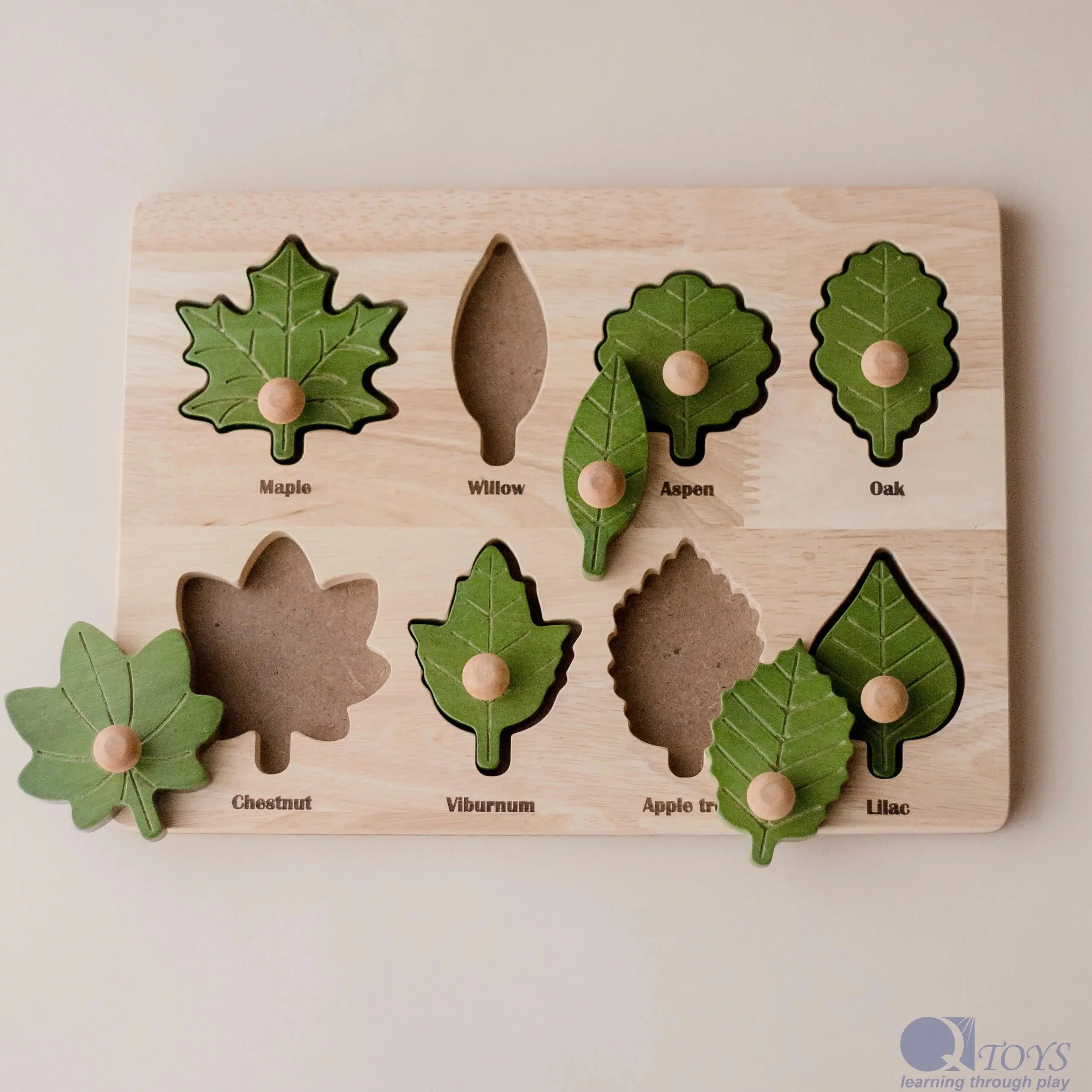 Montessori Leaf Puzzle