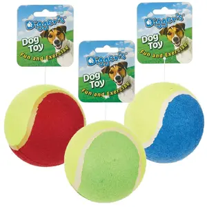 Tennis Ball 4In Fetch Toy