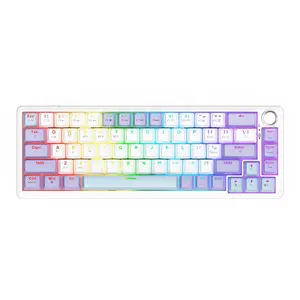 AJAZZ AK690 67-Key Compact Gaming Mechanical Keyboard, Present Switch,  Purple White Blue, Tri-Mode, RGB, Full Hot-Swappable, 5-Layer Sound  Dampening, Long Battery