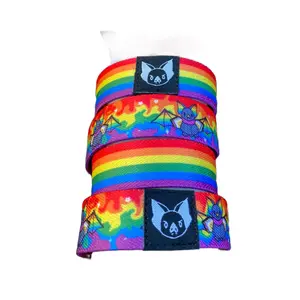 Pride Bat Bracelet - Gay Progress Pride Elastic Wristband (only one included)
