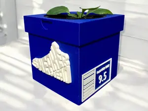 Sneaker Head Shoebox Planter - Indoor Plants - Drainage holes