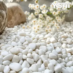 Grade A White Polished River Pebbles 0.40 cu. ft. 0.5 in. to 1.5 in. 30 lbs