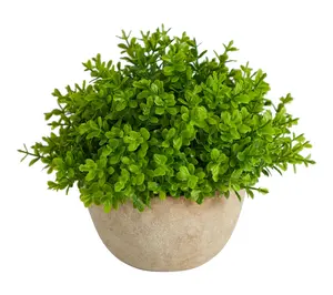 Nearly Natural 5" Boxwood Plant in Decorative Planter