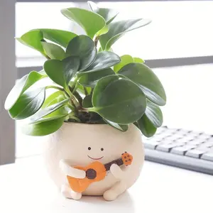 Cute Round Face Sitting Planter, Decorative Resin Flower Pot for Succulents, Home Office Desk Decor, Plant Pot Ornament Craft, Unique Pots