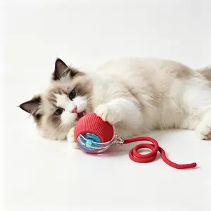 Interactive Dog&Cat Toys 2026 Upgraded Durable USB Rechargeable Automatic Rolling Ball with Obstacle Avoidance Technology for Small Medium Large Pets