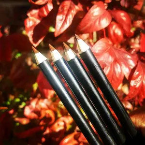 Dark Brown Lip Liner