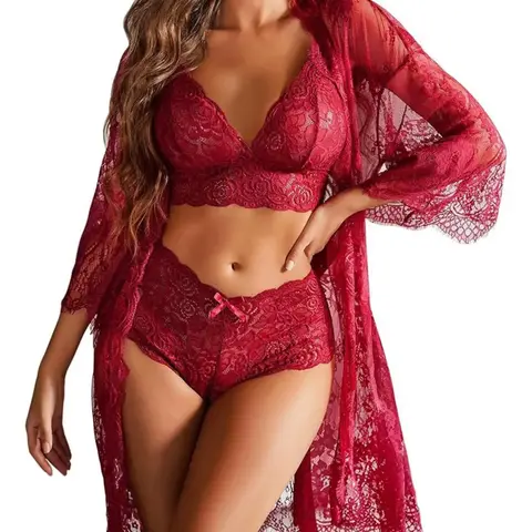 Women's Lace Sexy Lingerie Set, Women's Bra & Panty & Robe Set, Women's Lingerie Set for Summer, Underwear, Plunge Lingerie Top, Lingerie Outfits