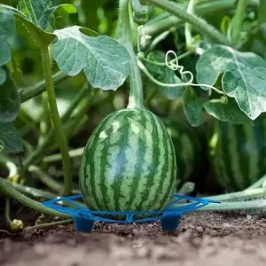 Durable Plastic Watermelon Display Trays, Set of 10, Corrosion Resistant, Ideal for Garden & Farm Fruit Showcases
