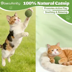Natural Catnip Balls for Cats – 2 Pack Compressed Catnip Toys for Indoor Cats, 100% Natural No Fillers, Long-Lasting Mess-Free Interactive Cat Toy for Stress Relief & Healthy Play
