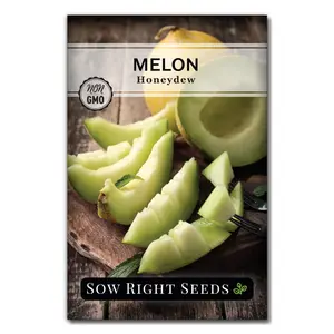Honeydew Melon