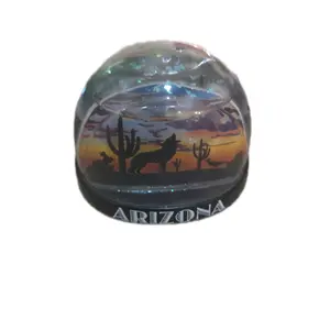 Arizona snow globe