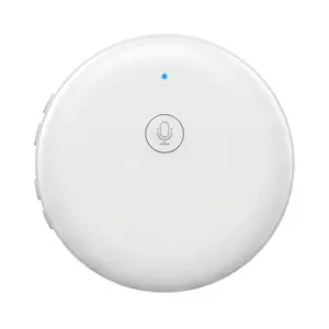 Smart Wearable Translator,Capable of translating 165 languages,Foreign Language Practice Partner Smart Wearable Translator,Capable of translating 165 languages,Foreign Language Practice Partner