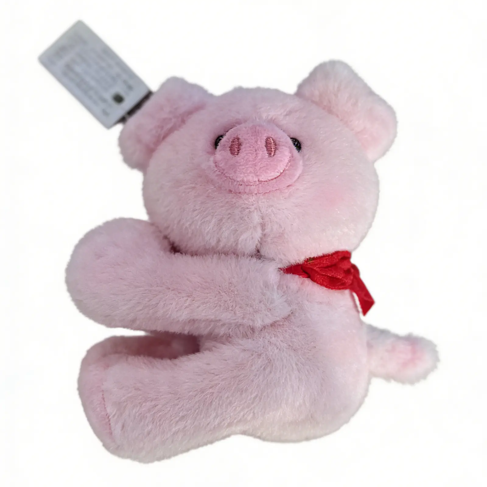 Hug Pig Plush Keychain