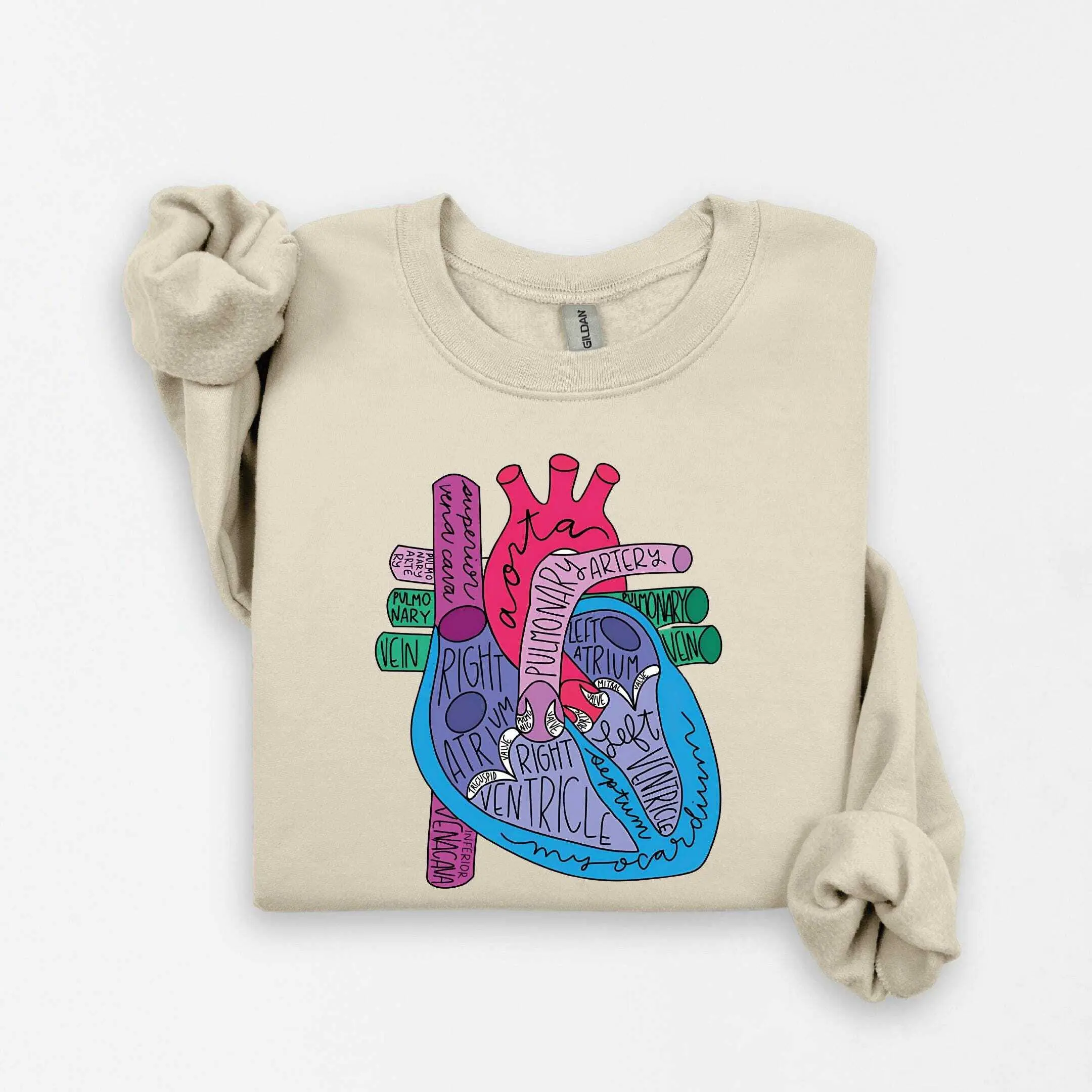 Heart Anatomy T-SHIRT or Sweatshirt , Cardiac Nursing Gift, Nursing School Sweater, Medical School Student Sweat, Cardiologist Anatomical Heart Hoodie