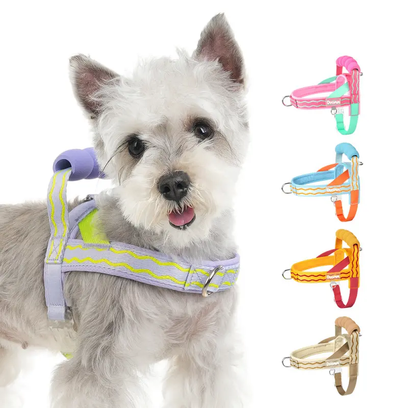 Reflective Padded Dog Leash for Small-Medium Dogs - Lightweight, Soft, Skin-Friendly, No Hand Burn, Night Stroll Safe, Leash Included, Ideal for Chihuahua/Pomeranian Outdoor Daily Use, Clearance Deal