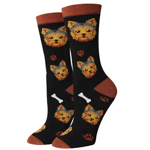Yorkshire Terrier Black Socks