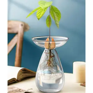 7.5 Inch Avocado Shaped Glass Vase, Large Avocado Planting Vase, Indoor Avocado Growing Set, Gardening Gift, Home Decor, Room Decoration