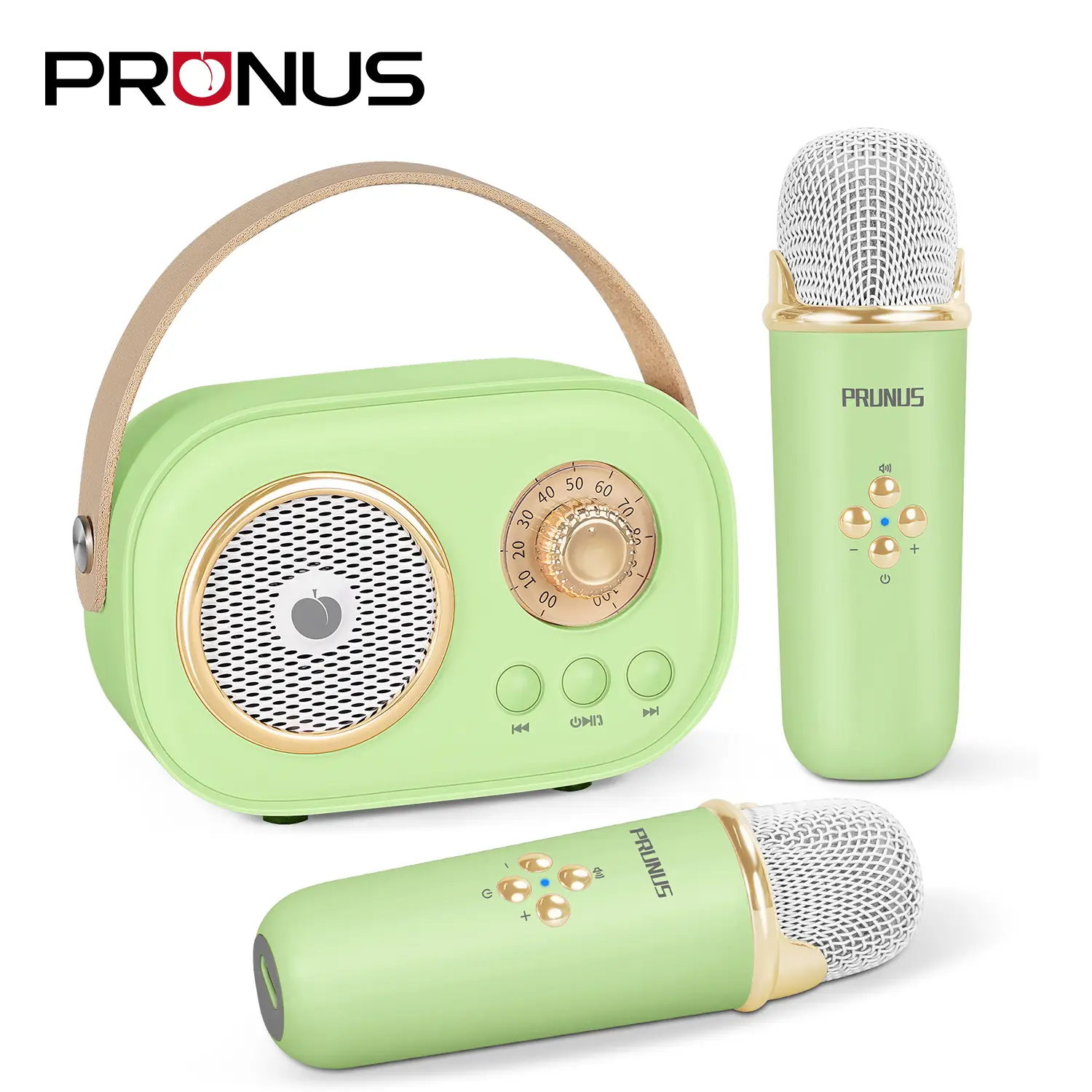 PRUNUS C20 Mini Karaoke Machine Portable Bluetooth Speaker with Wireless Microphone 6 Sound Modes for Adults&Kids Birthday Home Farmily Friends Party