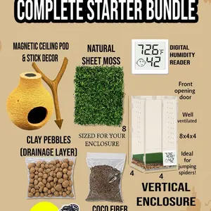 Complete Starter Kit Bundle | Jumping Spider