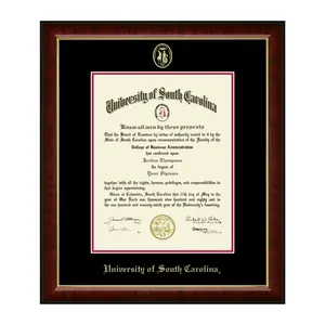 University of South Carolina Gold Embossed Diploma Frame with Museum-Quality Matting & High-Gloss Cherry Moulding for Associate's, Bachelor's, Master's PhD Diplomas
