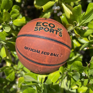 Eco Sports LLC
