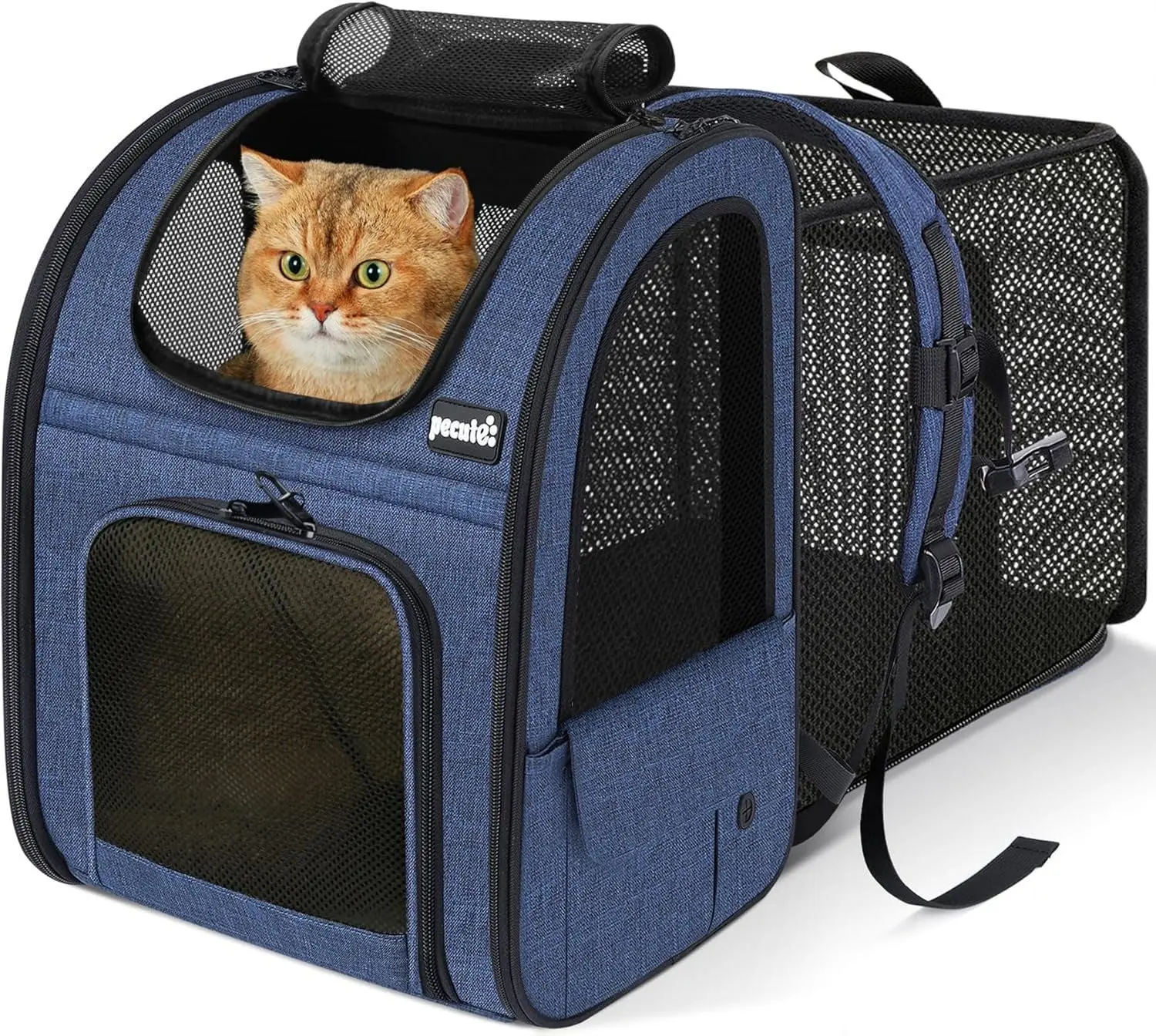 Expandable Cat Carrier Backpack – Airline-Ready & Breathable