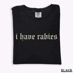 Comfort Colors I Have Rabies Funny T-shirt, Unhinged Shirts, Weird Gift for Friend/ Sister, Dark Humor Tee, Gen z Meme Tee, Silly Gifts