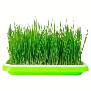 1pc Sprout tray Sprout tray planting pot Sprout tray soilless hydroponic paper tray for growing vegetables and seedlings