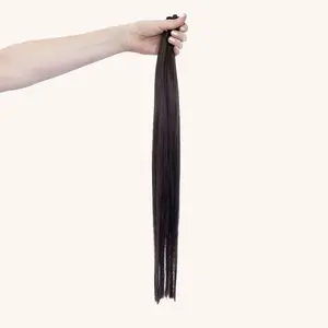 Ukrainian Dark Brown #3