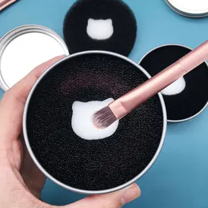 Makeup Brush Cleaner Box - Instant Dry Cleaning Sponge