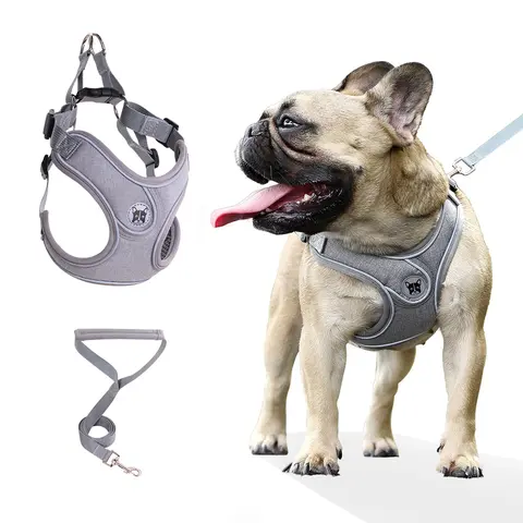 Dog Harness with No Tangle Leash Set, No Pull Adjustable Step in Dog Collars Harness with Breathable Padded Vest Harness, Frenchie Harness for Small Medium Dogs and Puppy Harness Training and Running
