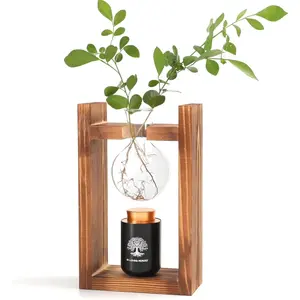 Plant Urn with Glass Bulb  Restro Solid Wooden Stand, Small Urns for Human Ashes Keepsake, Memorial Keepsake Urn for Human Ashes, Mini Urns for Human Ashes Keepsake, Small Urn for Ashes