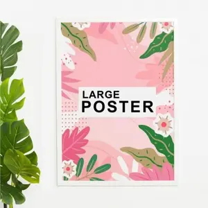Posters