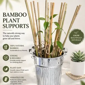 Natural Bamboo Plant Supports Climbing Stake Moss Pole Alternative 2-Pack Eco-Friendly & Plant-Safe for Indoor Plants