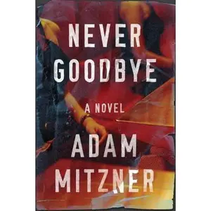 USED-Never Goodbye by Mitzner, Adam (Paperback)