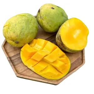 Butter cream Mango tree GRAFTED 2-4 Ft Tall.Ship To CA&PR. Actual Photos