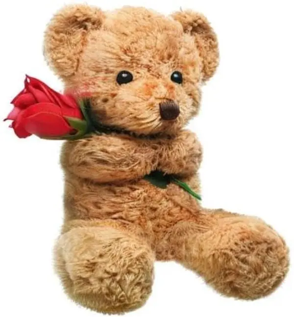 Valentine Plush Stuffed Animal Bear Gift with Rose - Beige, 11.8 Inches, Funny Cute Design for Girlfriend Valentine's Day