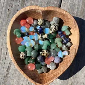 Intuitively chosen Mushroom Crystal