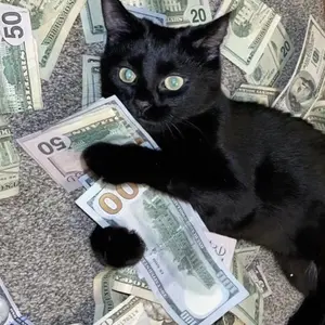 background preload poster image 