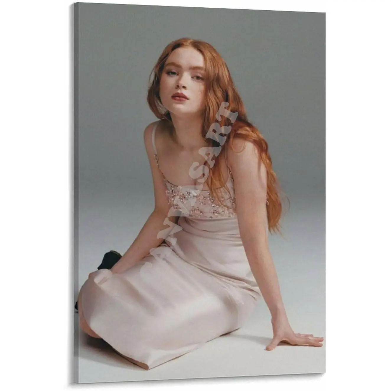 Sadie Sink HD Images High-Def Canvas Poster, Famous Temperament Actress Wall Art (5) for Bedroom, Living Room Home Decor